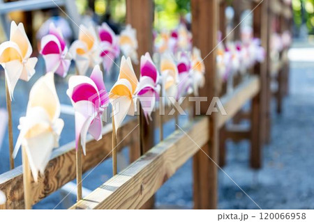 秋の熊野神社(熊野大社)の風景 秋の風花(かざはな) 山形県南陽市 秋の熊野神社(熊野大社)の風景 秋の風花(かざはな) 山形県南陽市 120066958