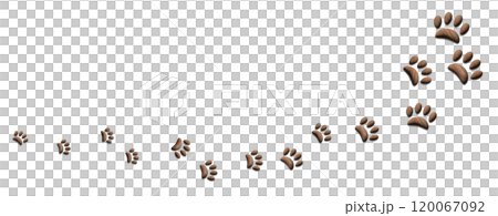 A banner of gradually growing brown paw prints 120067092
