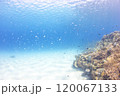 海中から見上げる空 120067133