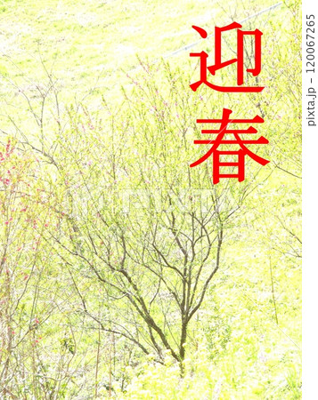 花桃が咲き始めた早春の風景 120067265