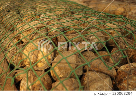 ルアンパバーンのUXOセンターで展示されている爆弾の中身 ルアンパバーンのUXOセンターで展示されている爆弾の中身 120068294