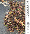 落ち葉の絨毯 120068393