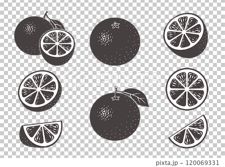Orange illustration icon set monochrome 120069331