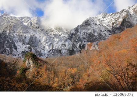 晩秋の幽ノ沢 冠雪の谷川岳を背景とした三段紅葉 120069378
