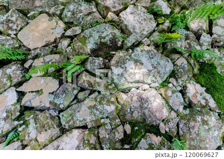 京都府亀岡市谷性寺(光秀寺)の石垣を撮影 京都府亀岡市谷性寺(光秀寺)の石垣を撮影 120069627