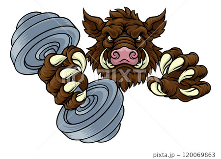 Boar Wild Razorback Warthog Weight Lifting Mascot 120069863