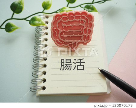 腸の模型イメージと腸活の文字 腸の模型イメージと腸活の文字 120070175