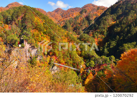 栃木県日光市　秋の紅葉に染まる瀬戸会峡 120070292