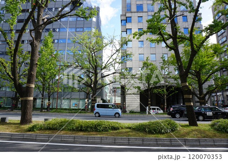 大阪御堂筋本町界隈の風景 120070353