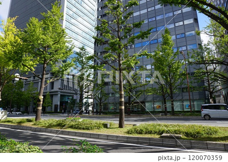 大阪御堂筋本町界隈の風景 120070359