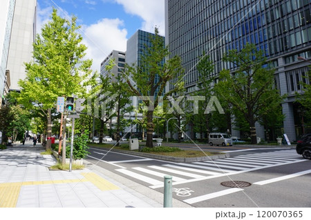 大阪御堂筋本町界隈の風景 大阪御堂筋本町界隈の風景 120070365