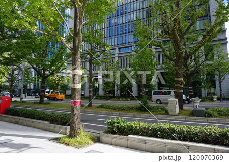 大阪御堂筋本町界隈の風景 大阪御堂筋本町界隈の風景 120070369