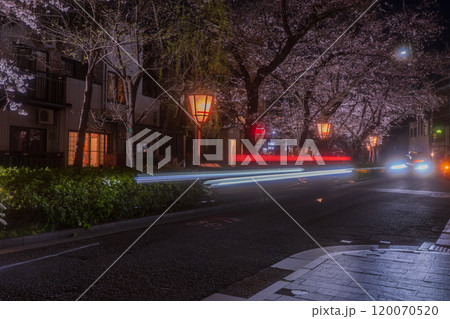 京都市中京区の木屋町高瀬川の夜桜を撮影 120070520