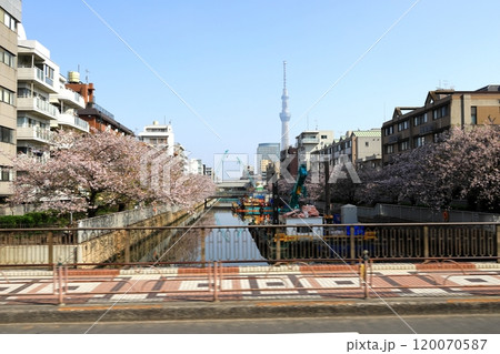 東京都市風景　新大橋通り　菊川橋 120070587