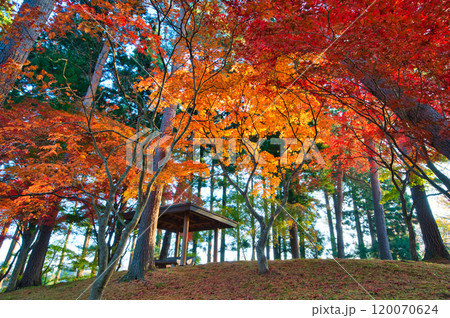 紅葉の森の中の東家がある風景 120070624