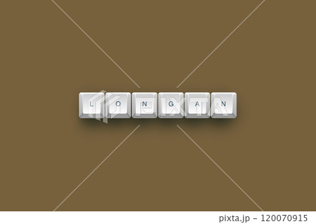 Longan text on a 3d keyboard button with shadow concept series  120070915