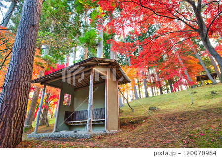 東家のある紅葉風景 120070984