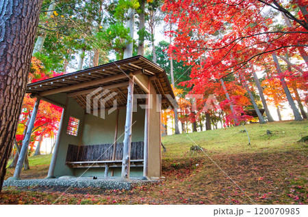 東家のある紅葉風景 120070985
