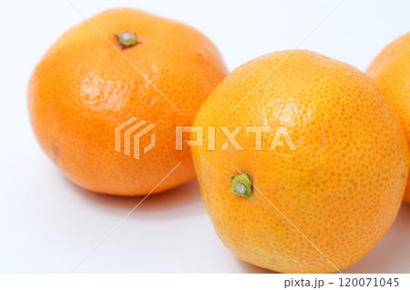 みかん、くだもの、果物、柑橘類、フルーツ、皮、果実、デザート、実、新鮮、食材、ミカン、柑橘、オレンジ みかん、くだもの、果物、柑橘類、フルーツ、皮、果実、デザート、実、新鮮、食材、ミカン、柑橘、オレンジ 120071045