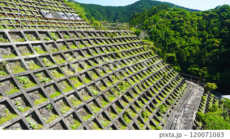 静岡県周智郡森町の風景（かわせみ湖に整備された格子状擁壁） 120071083