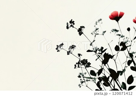 Delicate wildflowers and a red poppy against a minimalistic background, AI Generative 120071412