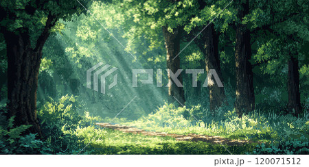 Sunlit forest path with lush greenery in a peaceful woodland setting, AI Generative 120071512