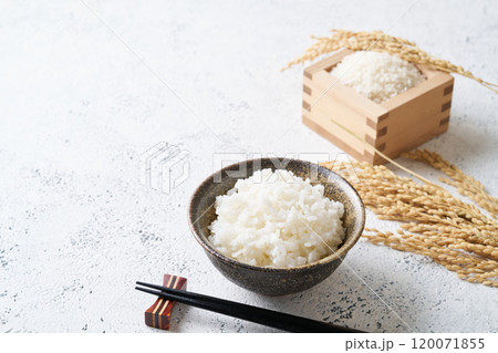 茶碗に盛り付けたご飯 120071855