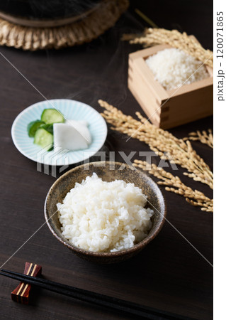 茶碗に盛り付けたご飯 茶碗に盛り付けたご飯 120071865