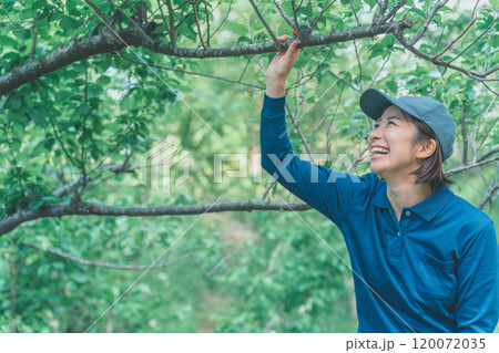 樹木と女性業者 樹木と女性業者 120072035