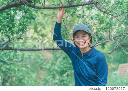 樹木と女性業者 120072037
