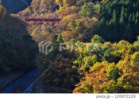 紅葉する山々に映える赤い高井橋 紅葉する山々に映える赤い高井橋 120072229