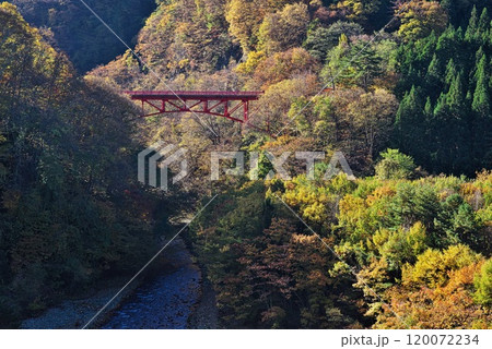 紅葉する山々に映える赤い高井橋 120072234