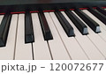 ピアノの鍵盤 ピアノの鍵盤 120072677