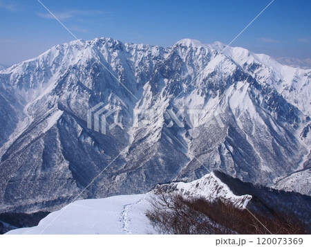 白毛門から望む冬の谷川岳 120073369