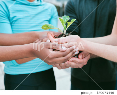 People, hands and plant with soil outdoor for eco friendly growth, sustainability and earth day. Climate change, group or seedling for carbon footprint, conservation and gardening project for ecology People, hands and plant with soil outdoor for eco friendly growth, sustainability and earth day. Climate change, group or seedling for carbon footprint, conservation and gardening project for ecology 120073446