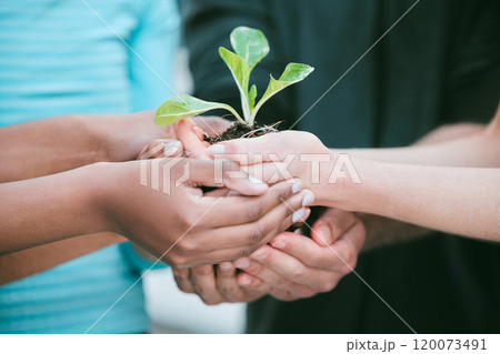 People, hands and plant with soil together for eco friendly growth, sustainability and earth day. Climate change, group or seedling for carbon footprint, conservation or gardening project for ecology 120073491