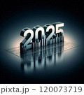 2025年 120073719