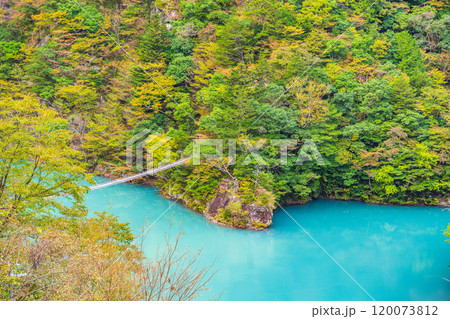 【静岡県】秋の寸又峡 夢のつり橋 【静岡県】秋の寸又峡 夢のつり橋 120073812
