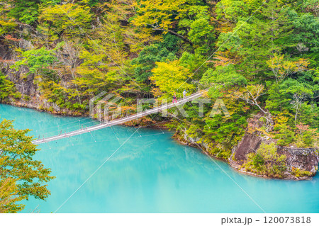 【静岡県】秋の寸又峡　夢のつり橋 120073818