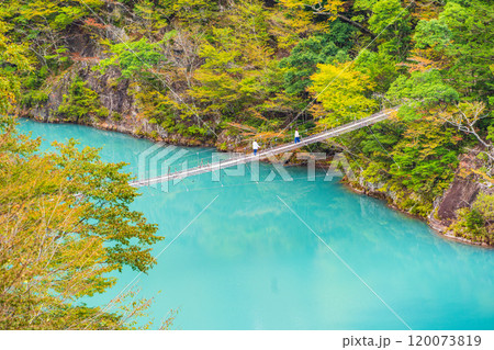 【静岡県】秋の寸又峡　夢のつり橋 120073819