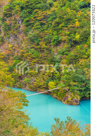 【静岡県】秋の寸又峡　夢のつり橋 120073822