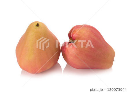 Rose apples  isolated on white background 120073944