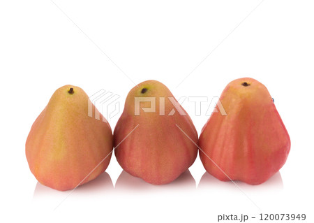 Rose apples  isolated on white background 120073949