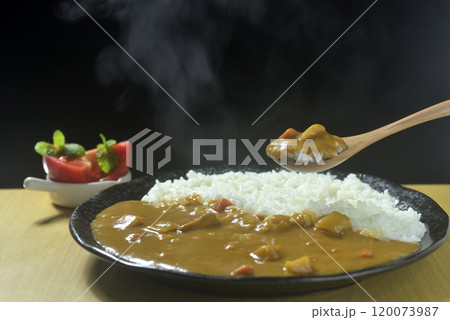 湯気の立つカレーライスをスプーンですくう 120073987