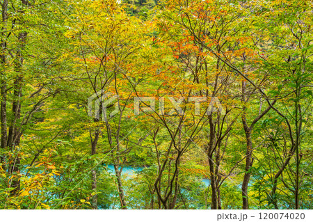 【静岡県】秋の寸又峡　ブルーの湖面 120074020
