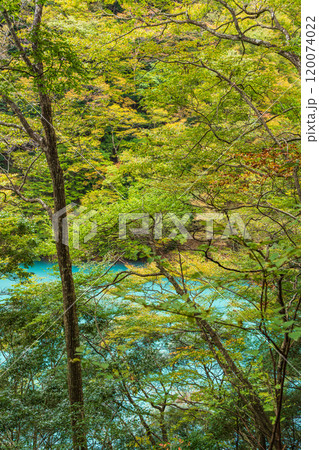 【静岡県】秋の寸又峡 ブルーの湖面 【静岡県】秋の寸又峡 ブルーの湖面 120074022