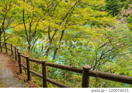 【静岡県】秋の寸又峡　ブルーの湖面 120074025