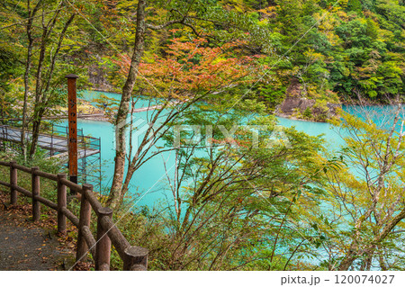【静岡県】秋の寸又峡　ブルーの湖面 120074027