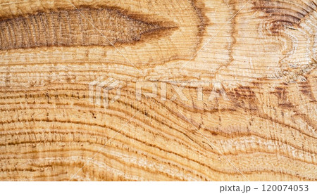macro photo of poplar board surface with wood texture 120074053