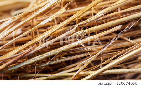 macro photo of straw texture 120074059